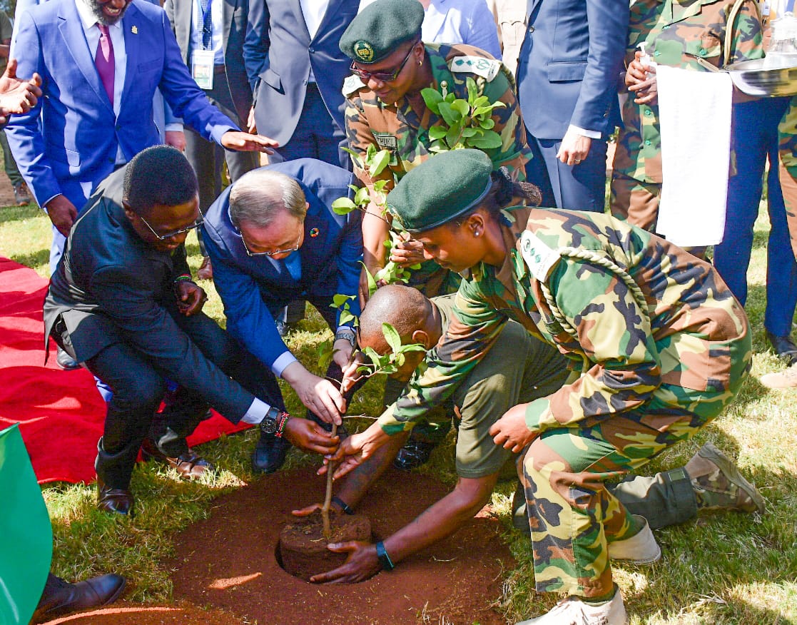 Tree Planting Day